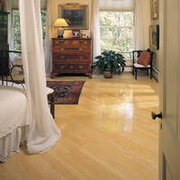 Room Scene